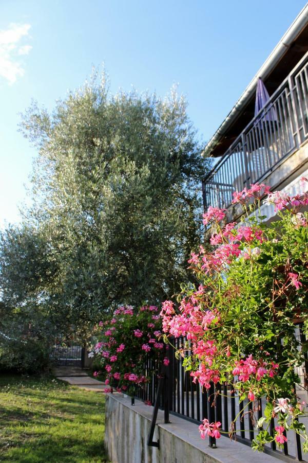 Turkovic Apartments Zgaljic Bagian luar foto