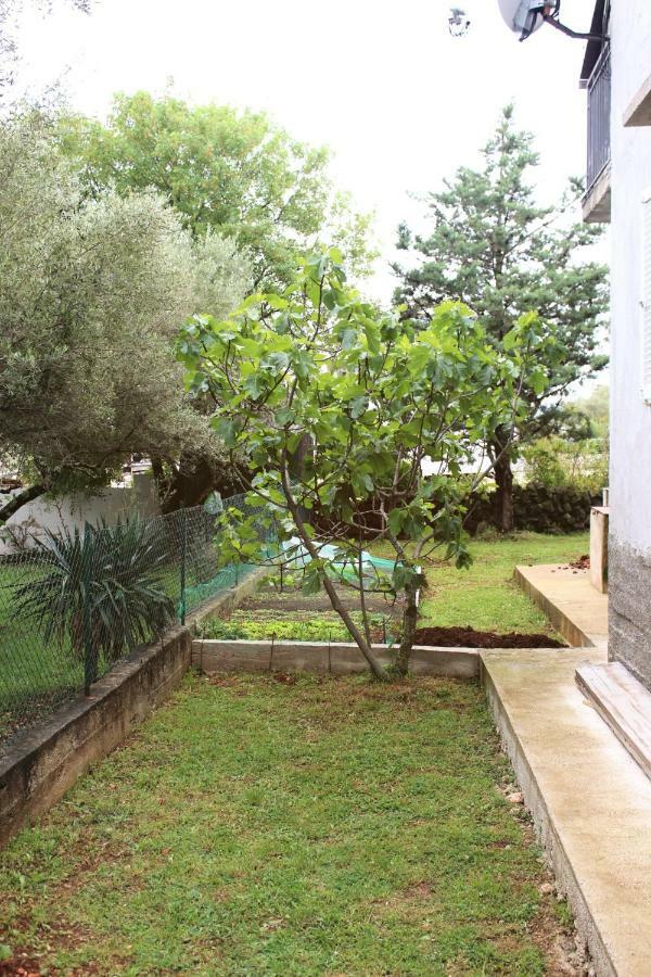Turkovic Apartments Zgaljic Bagian luar foto