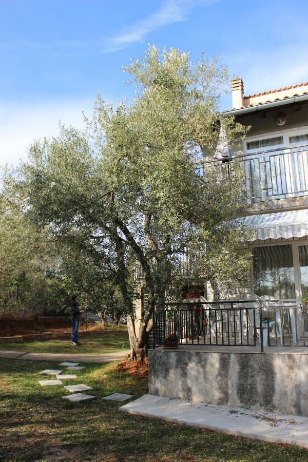 Turkovic Apartments Zgaljic Bagian luar foto